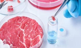 Лабораторный анализ пищевых продуктов по СанПиН в Липецке в октябре